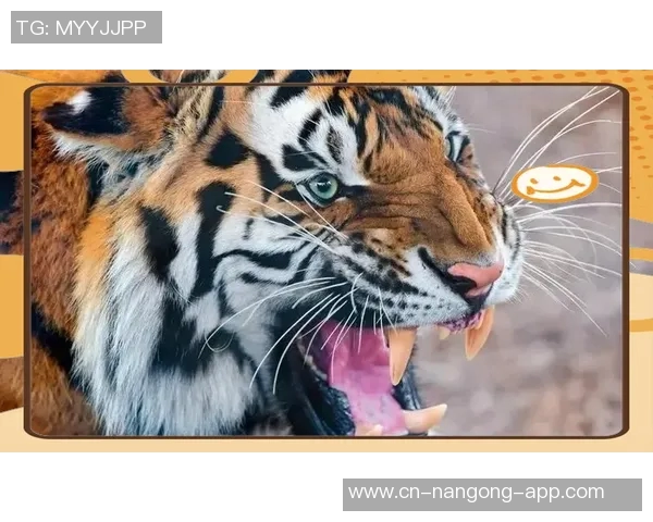 老虎大学与阿特拉斯的激烈对决揭示了体育精神与团队合作的重要性